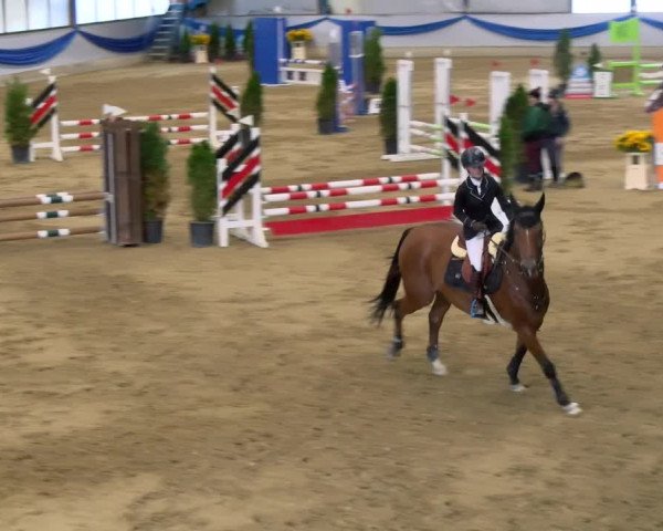 Reitturnier Buchs 2021
