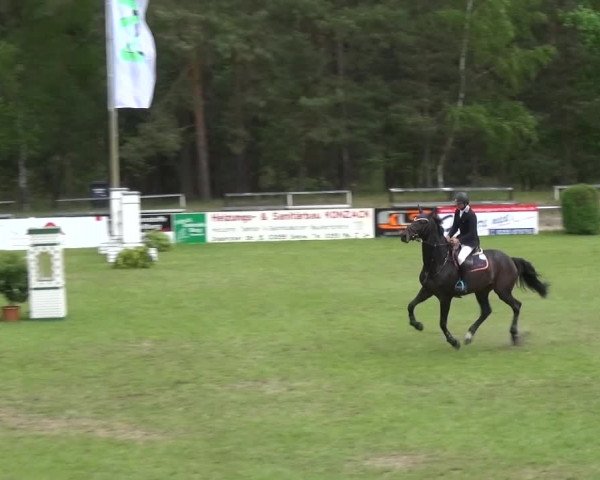 Reitturnier Cottbus-Sielow 2016