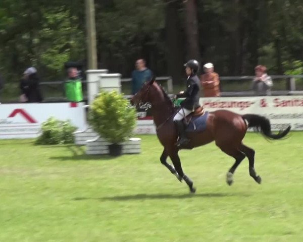 Reitturnier Cottbus-Sielow 2016