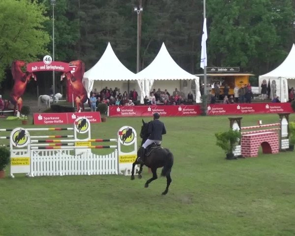 Reitturnier Cottbus-Sielow 2016