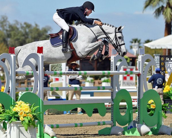 jumper E'Special P.s. (KWPN (Royal Dutch Sporthorse), 2009, from Berlin)
