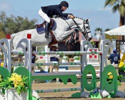 jumper E'Special P.s. (KWPN (Royal Dutch Sporthorse), 2009, from Berlin)