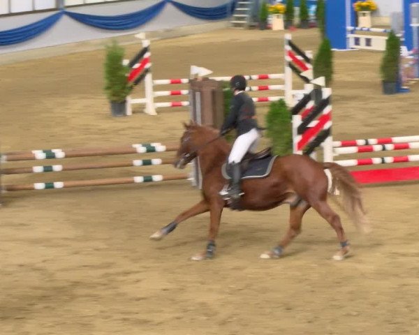 Reitturnier Buchs 2021