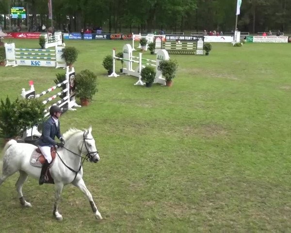 Reitturnier Cottbus-Sielow 2016