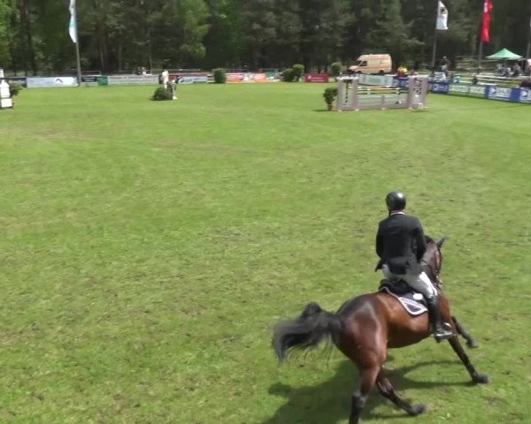 Reitturnier Cottbus-Sielow 2016