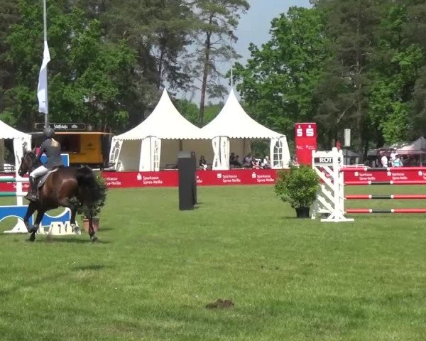 Reitturnier Cottbus-Sielow 2016