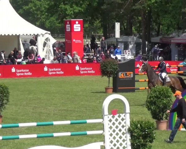 Reitturnier Cottbus-Sielow 2016