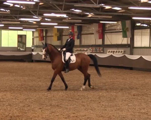 Reitturnier Bochum-Nord 2016