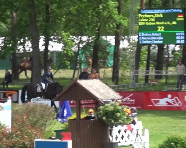Reitturnier Cottbus-Sielow 2016