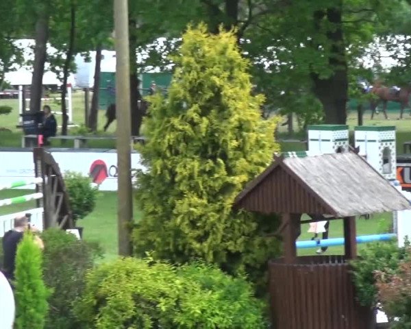 Reitturnier Cottbus-Sielow 2016