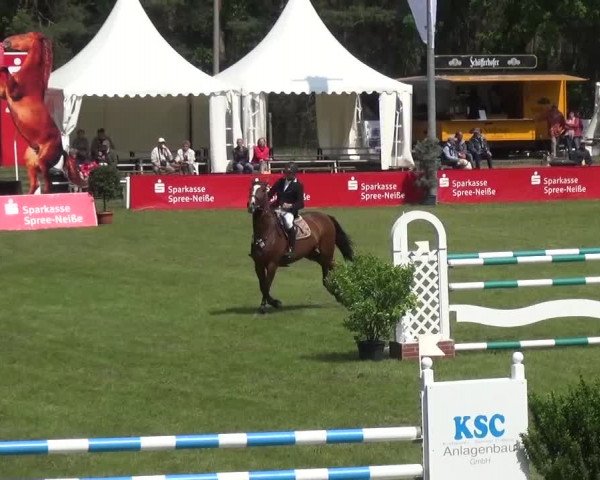 Reitturnier Cottbus-Sielow 2016