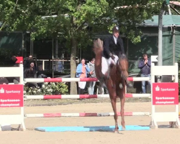 Reitturnier Bochum-Nord 2016