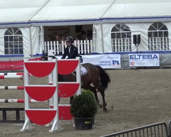 Reitturnier Mönchengladbach-Wickrath 2016