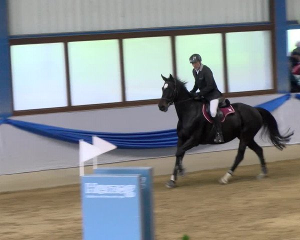 Reitturnier Buchs 2021