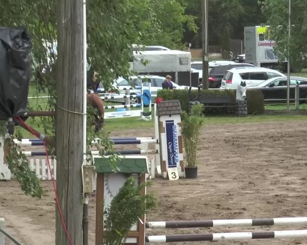Reitturnier Mettingen 2016