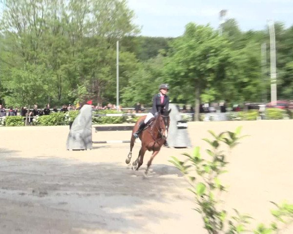Reitturnier Bochum-Nord 2016