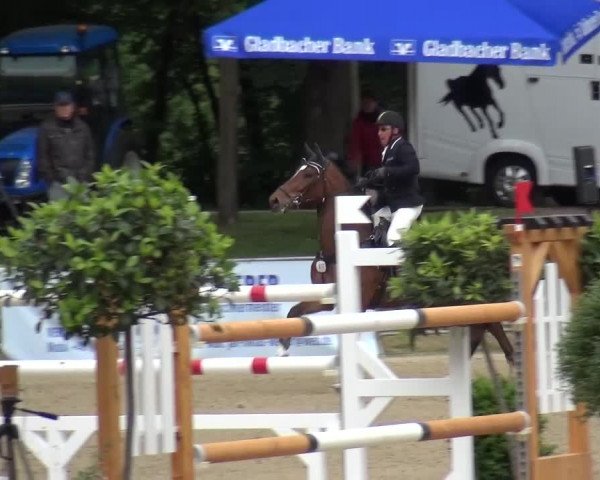 Reitturnier Mönchengladbach-Wickrath 2016