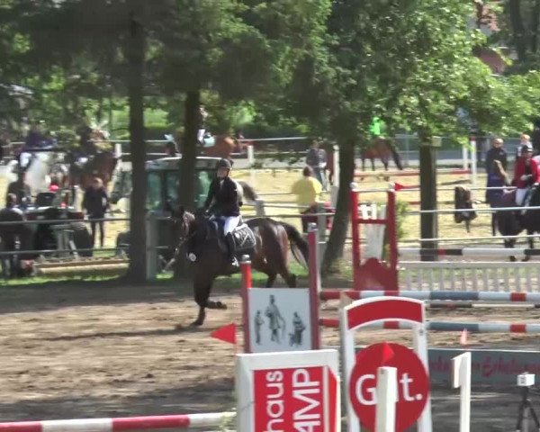 Reitturnier Mettingen 2016