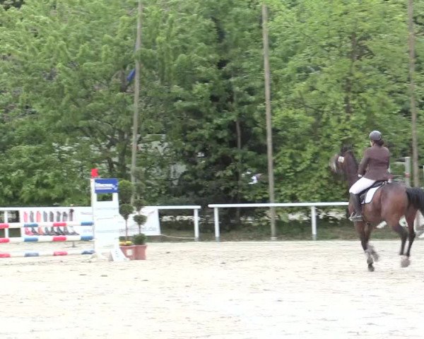 Reitturnier Bochum-Nord 2016