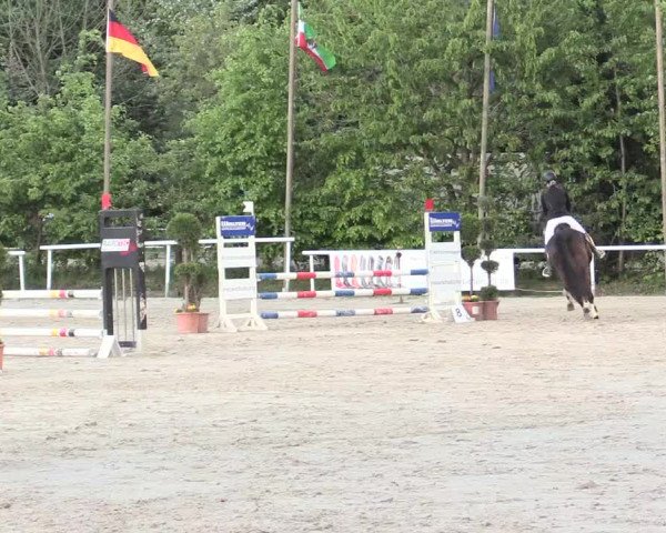 Reitturnier Bochum-Nord 2016