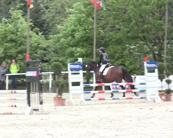 Reitturnier Bochum-Nord 2016