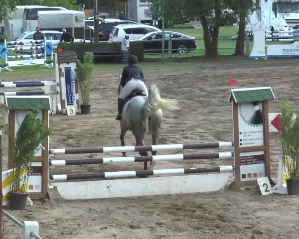 Reitturnier Mettingen 2016