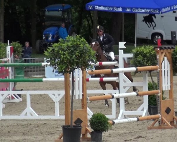 Reitturnier Mönchengladbach-Wickrath 2016