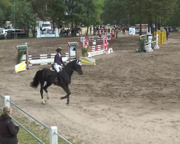 Reitturnier Mettingen 2016