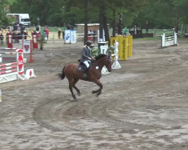 Reitturnier Mettingen 2016