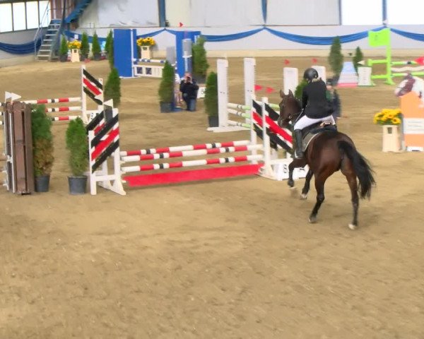 Reitturnier Buchs 2021