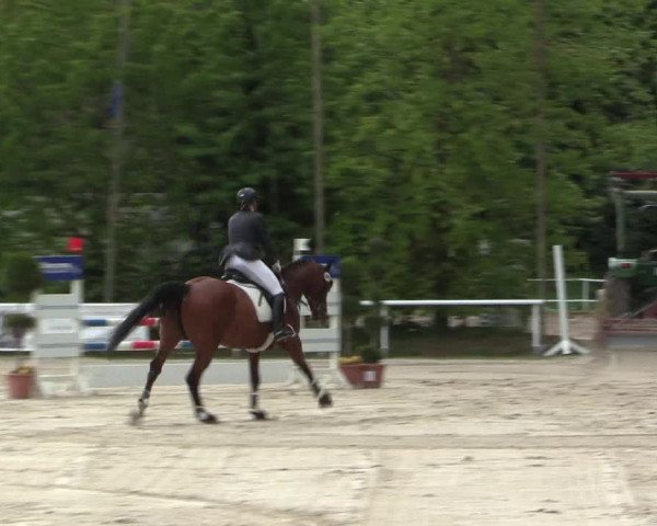 Reitturnier Bochum-Nord 2016