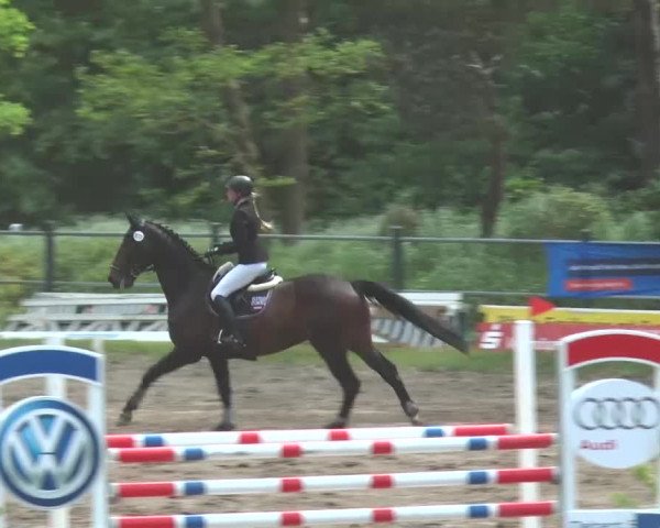 Reitturnier Mettingen 2016