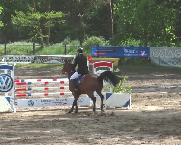Reitturnier Mettingen 2016