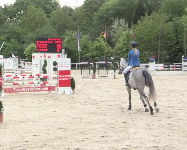 Reitturnier Bochum-Nord 2016