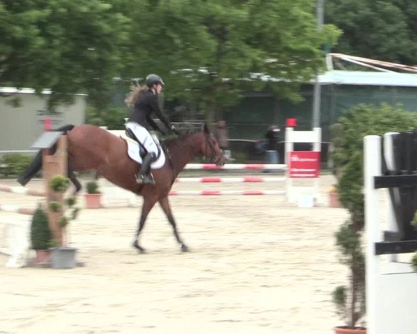 Reitturnier Bochum-Nord 2016