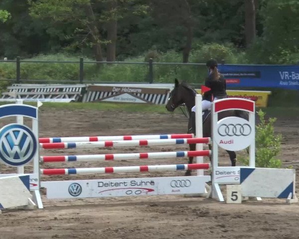 Reitturnier Mettingen 2016