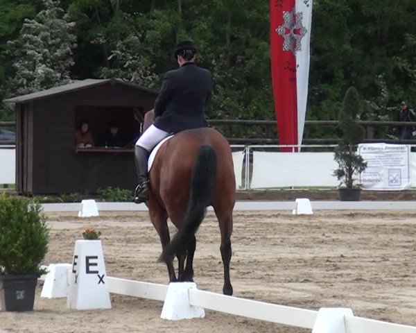 Reitturnier Frechen-Grefrath - Sonnenhof 2016