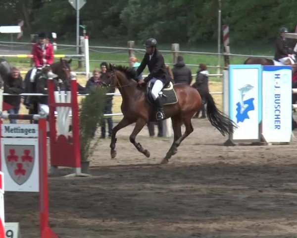 Reitturnier Mettingen 2016