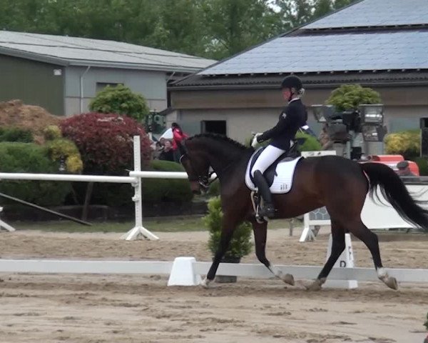 Reitturnier Frechen-Grefrath - Sonnenhof 2016