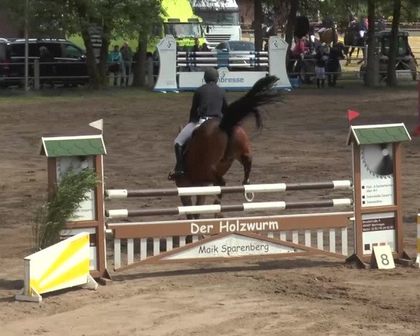Reitturnier Mettingen 2016
