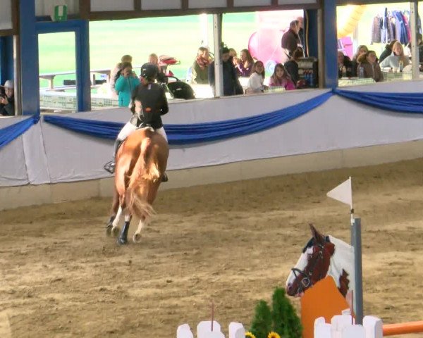 Reitturnier Buchs 2021