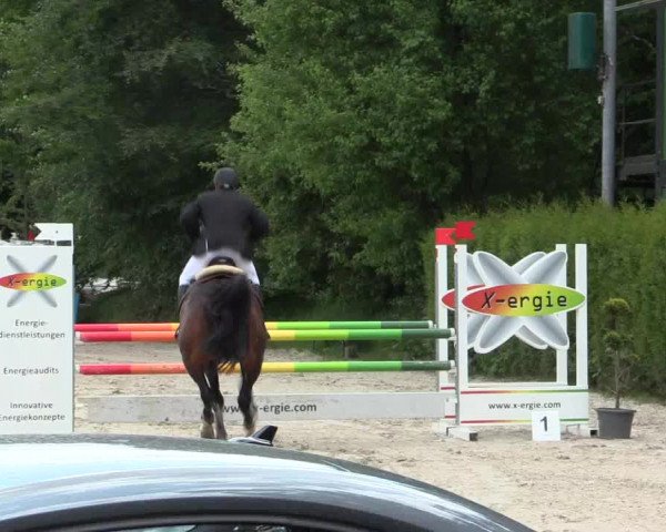 Reitturnier Bochum-Nord 2016