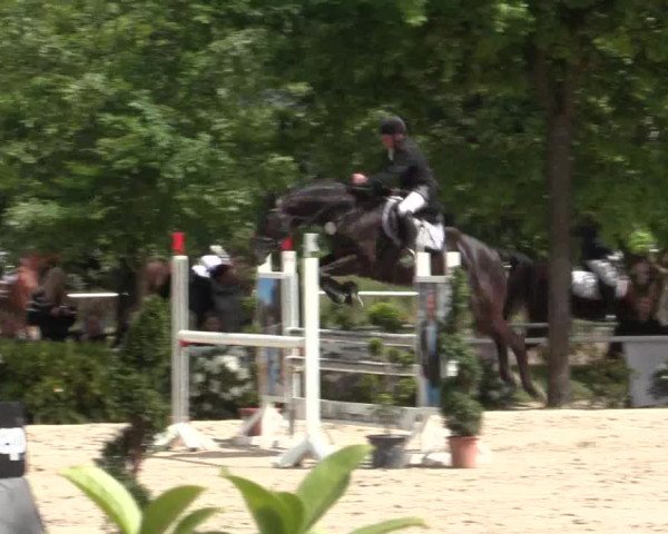 Reitturnier Bochum-Nord 2016