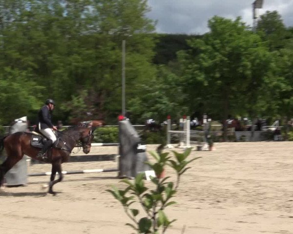 Reitturnier Bochum-Nord 2016