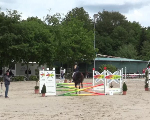 Reitturnier Bochum-Nord 2016