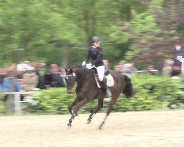 Reitturnier Bochum-Nord 2016