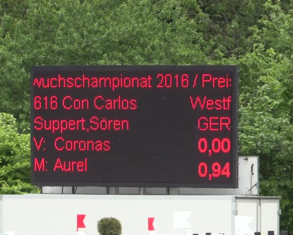 Reitturnier Bochum-Nord 2016