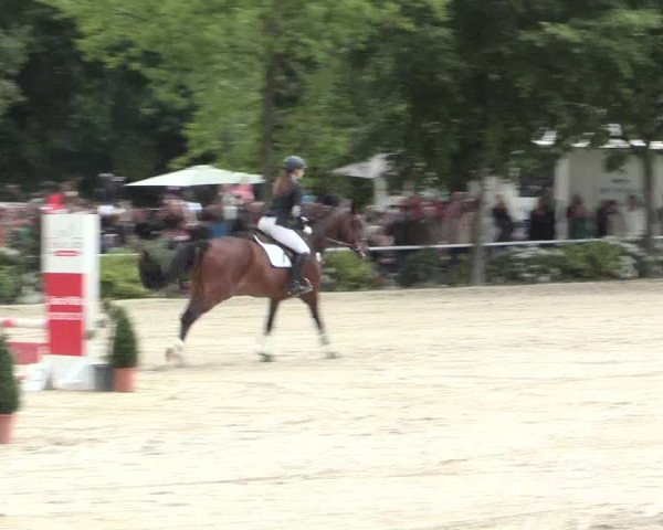 Reitturnier Bochum-Nord 2016