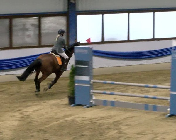 Reitturnier Buchs 2021