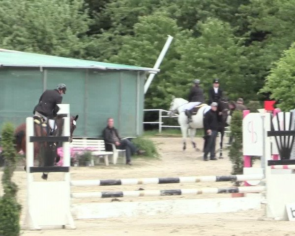 Reitturnier Bochum-Nord 2016